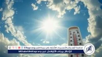 طقس معتدل نهارًا.. المنيا تواجه برودة ليلية يوم 14 ديسمبر 2025